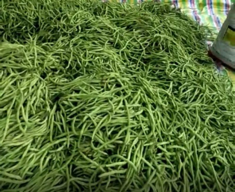 架豆角