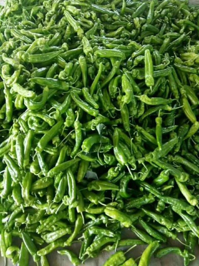 牛尖椒