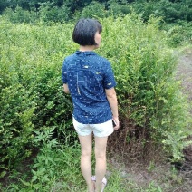 红豆杉