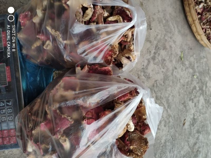 云南大山里的美味普通红菇干货柴火烘烤无硫产地直销一手货源