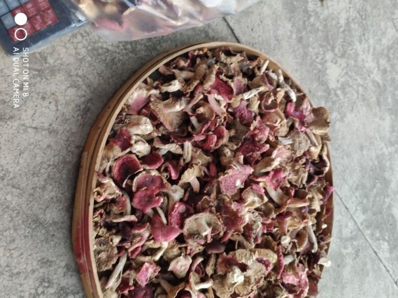 云南大山里的美味普通红菇干货柴火烘烤无硫产地直销一手货源