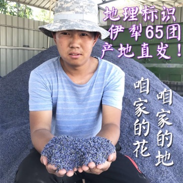 新疆伊犁薰衣草干花花粒产地直发