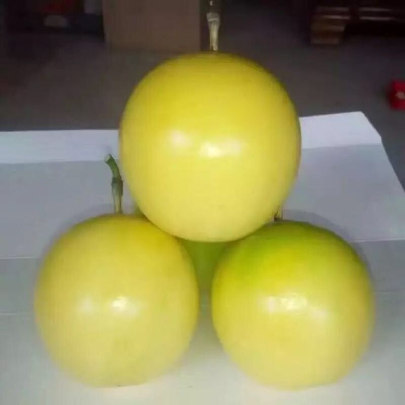 黄金百香果黄果90~100g