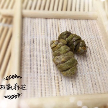 铁皮石斛枫斗全化渣粘牙