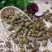 铁皮石斛枫斗全化渣粘牙