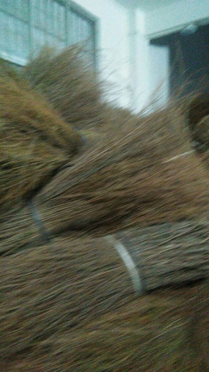 扫帚