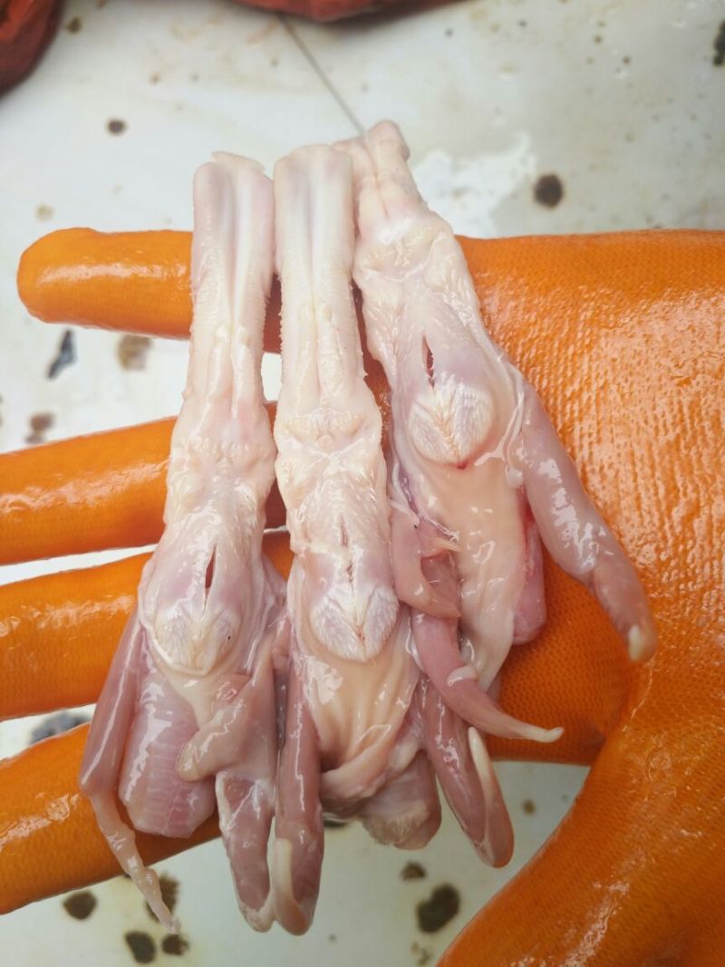 鸭舌带喉管新鲜现杀