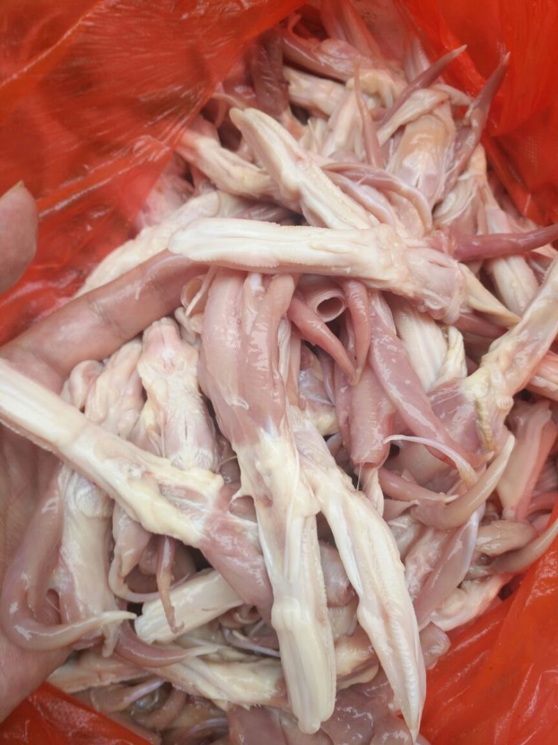 鸭舌带喉管新鲜现杀