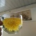 菊花茶
