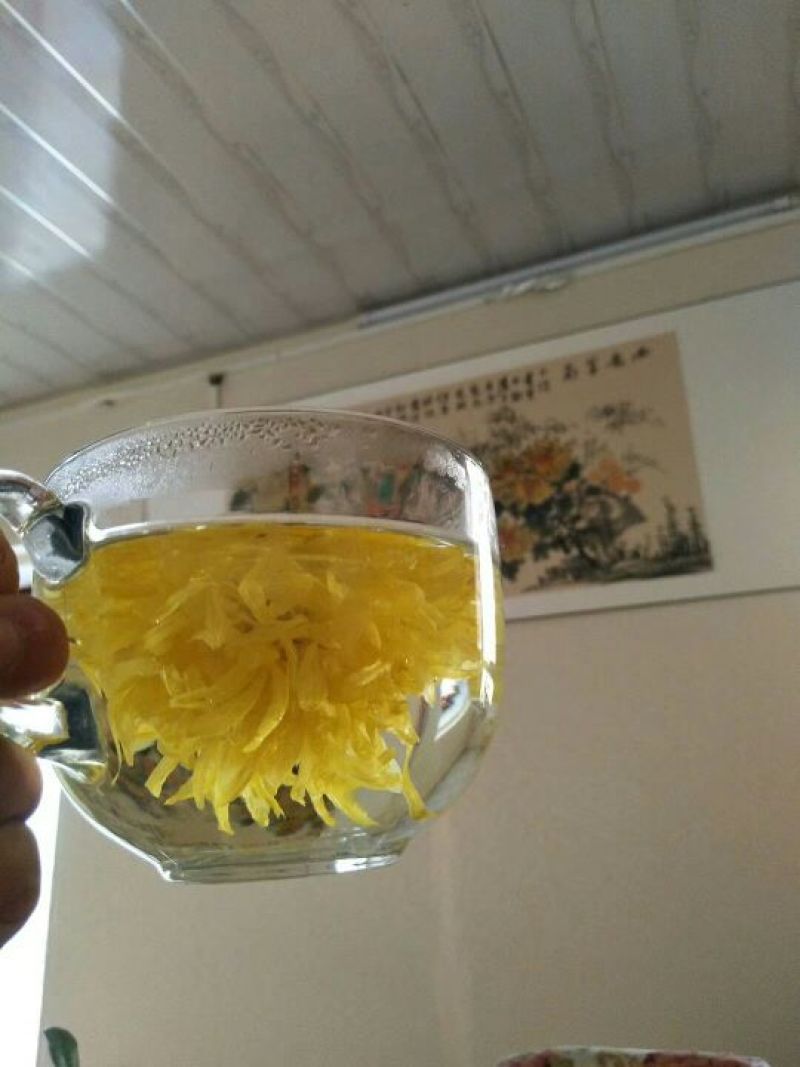 菊花茶