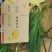 矮蒲苇基地直销量大从优