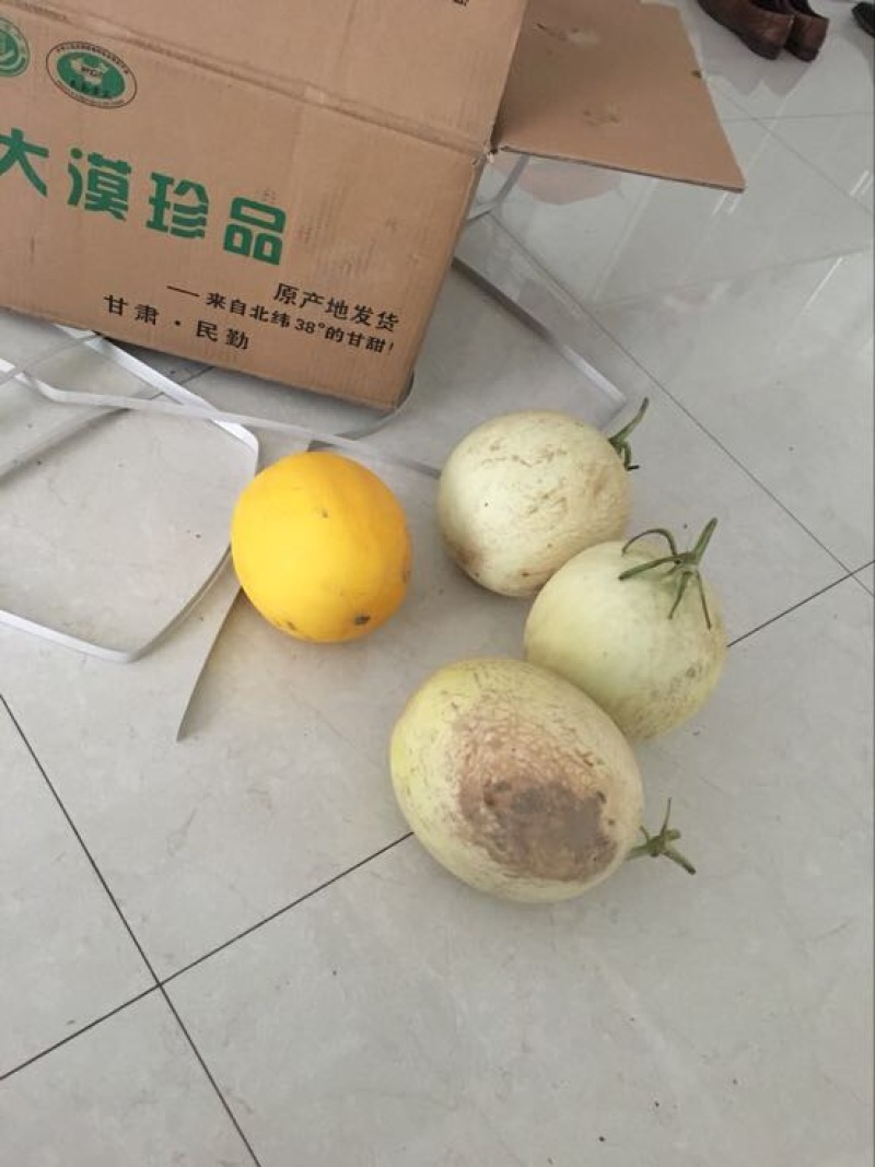 民勤蜜瓜4斤精品