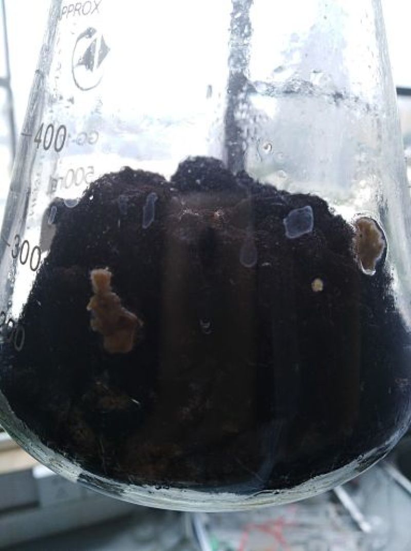 秸秆发酵剂，有机肥发酵剂，有机物腐熟剂，堆肥菌剂