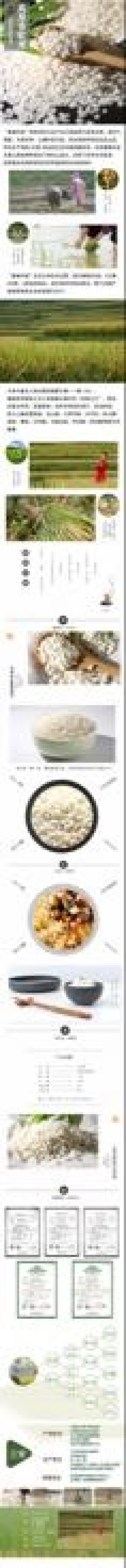 大米新米特级
