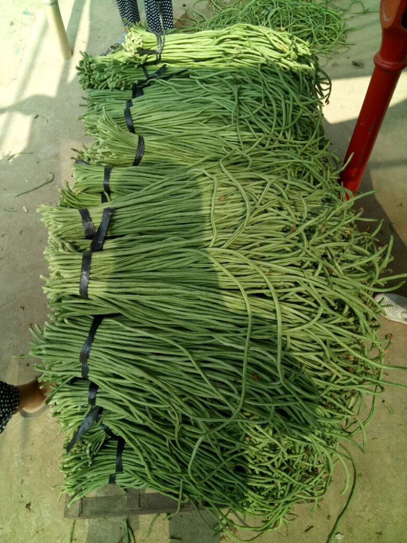 优质豆角