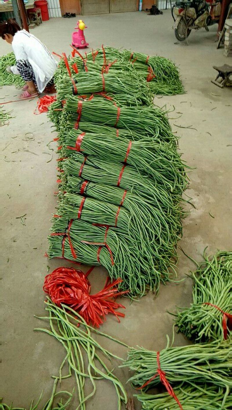 优质豆角