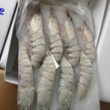 草虾