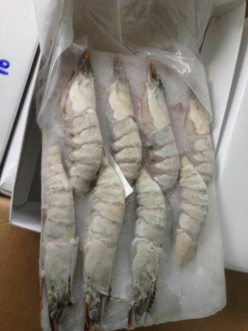 草虾