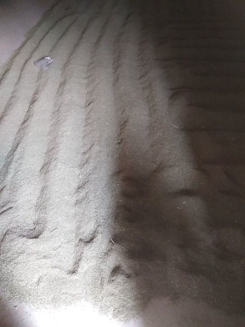 优质孜然