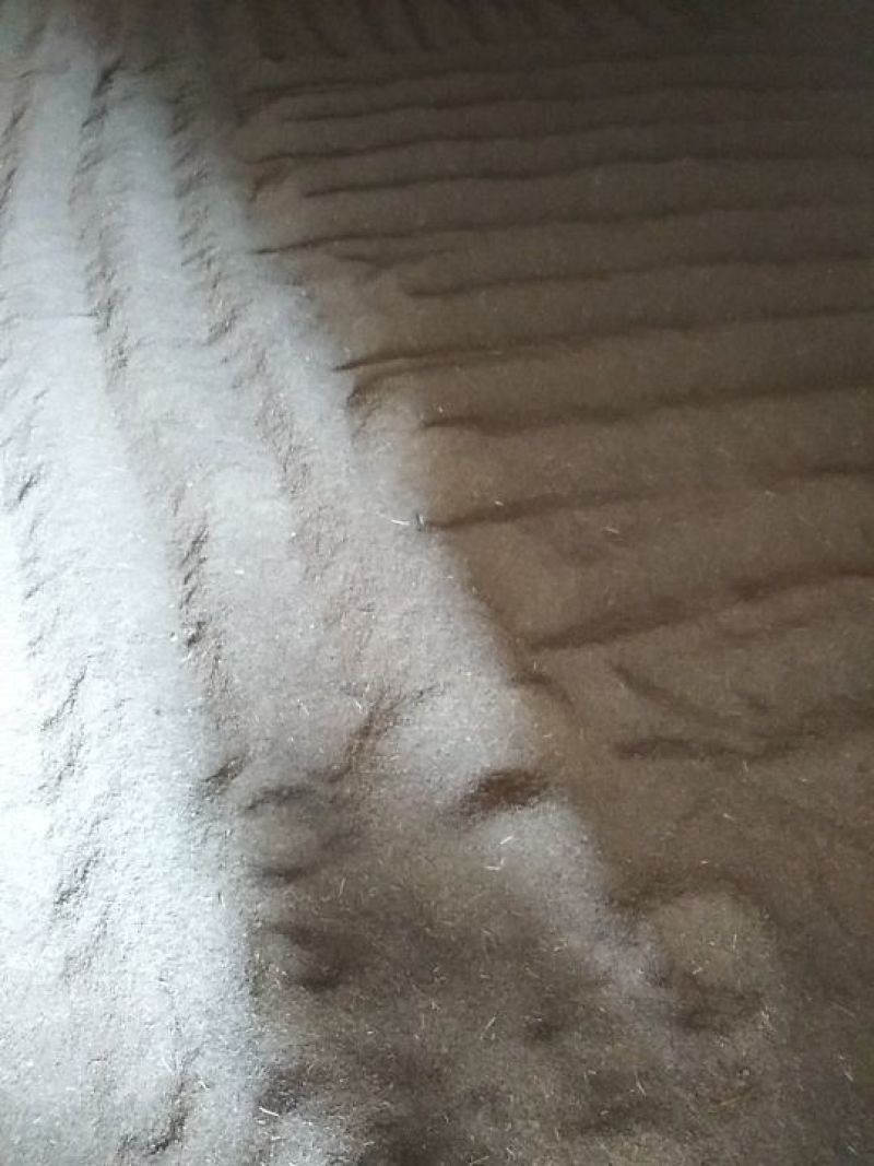 优质孜然