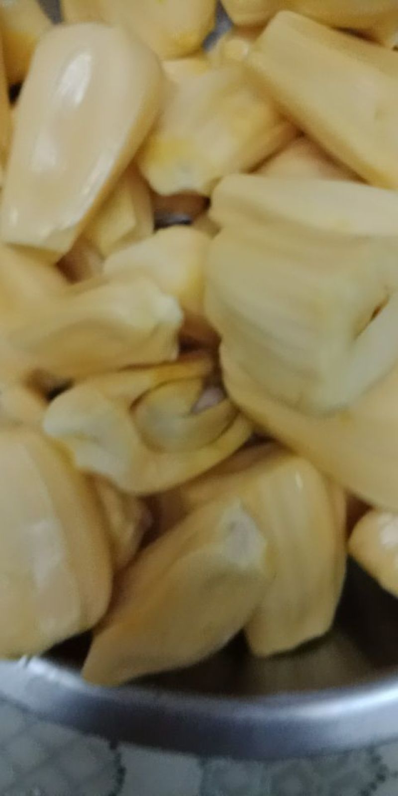 越南菠萝蜜