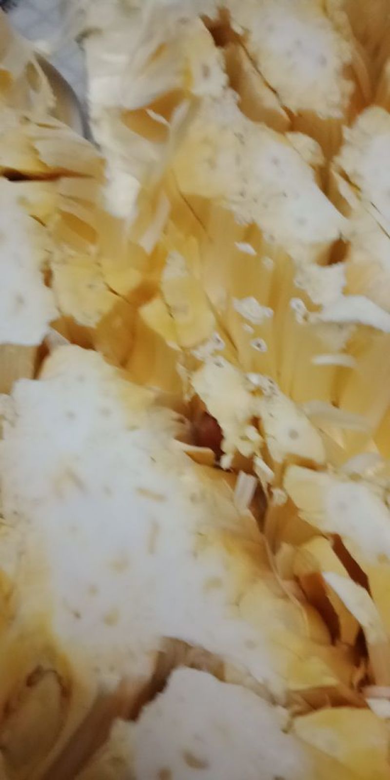 越南菠萝蜜
