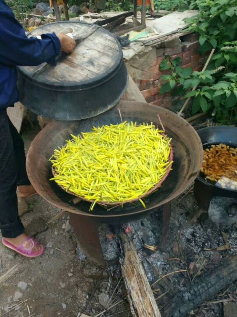 黄花菜