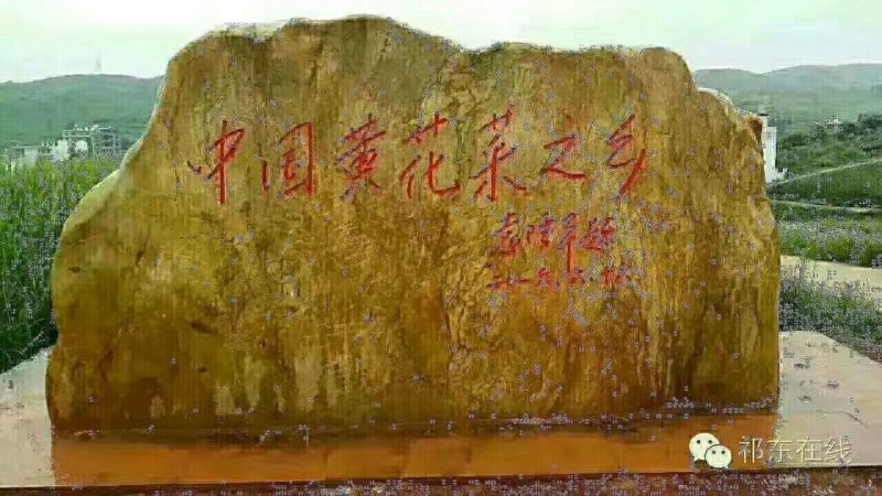 黄花菜