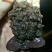 大龙虾8只/kg以下