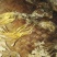 金蝉花大别山品种高海拔生长货源充足量大从优欢迎咨