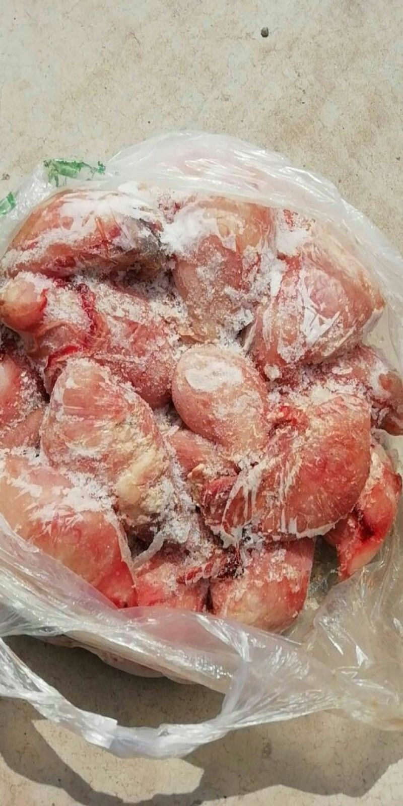 鲜冻羊蛋有货
