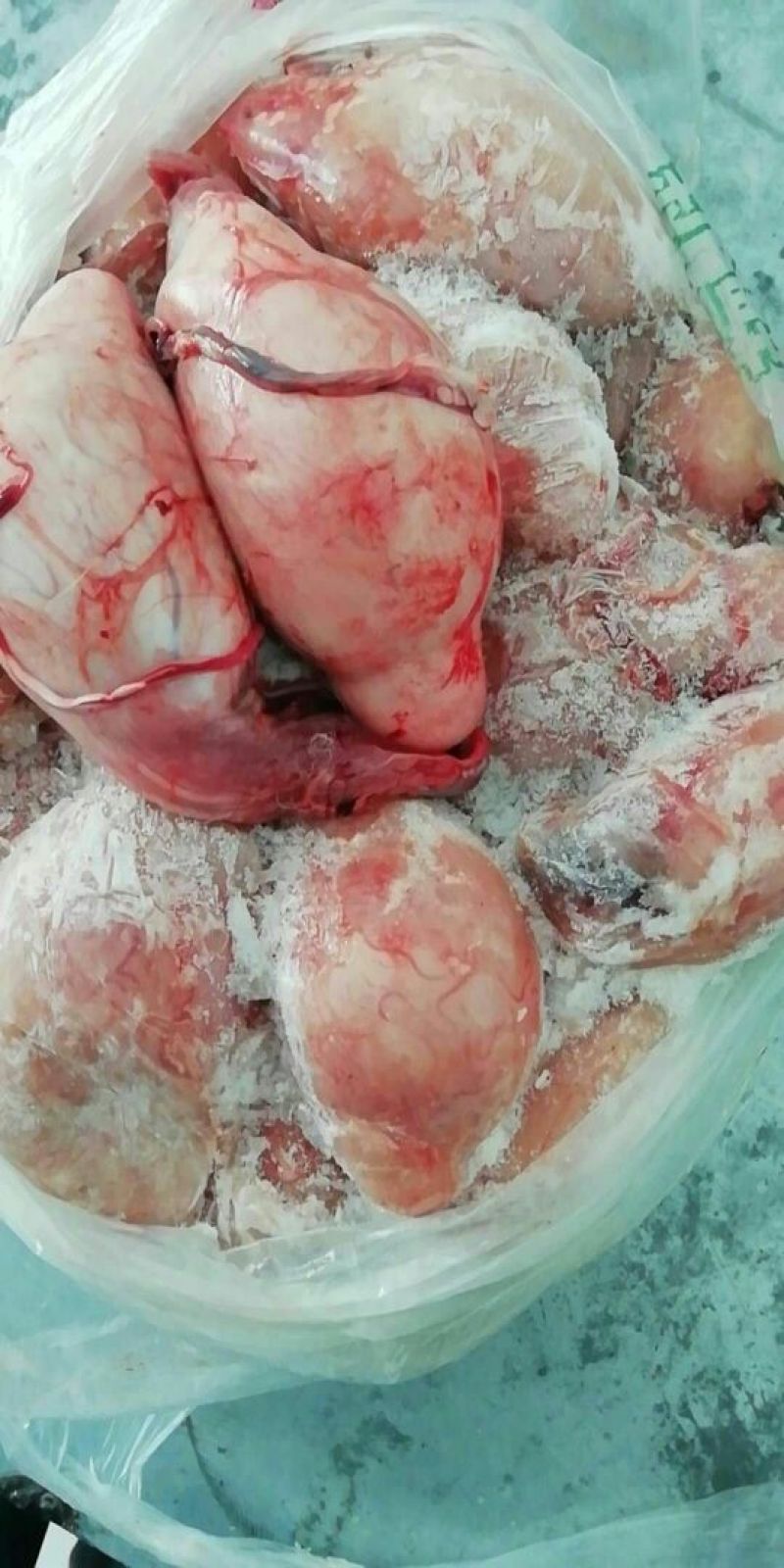 鲜冻羊蛋有货