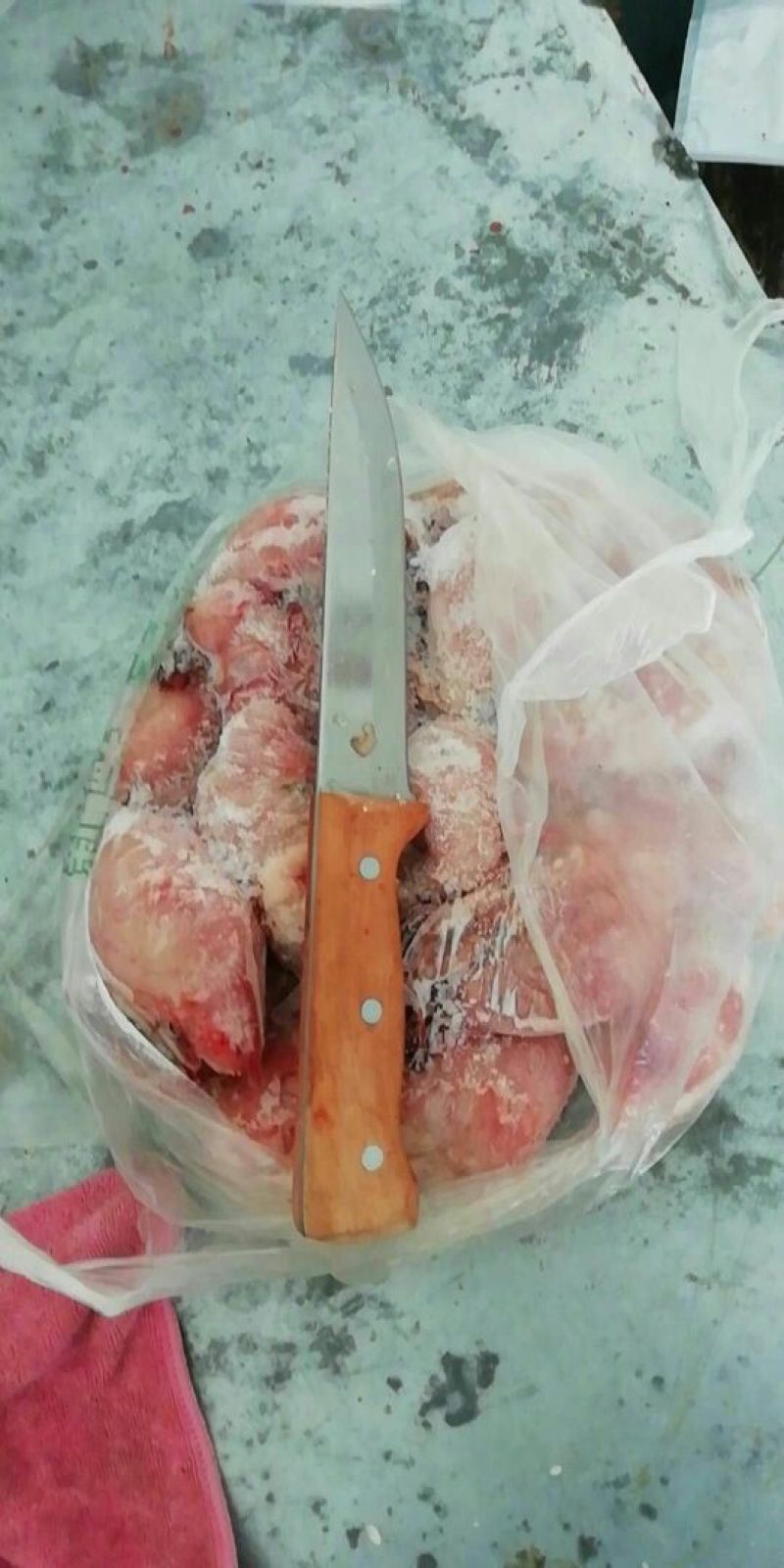 鲜冻羊蛋有货