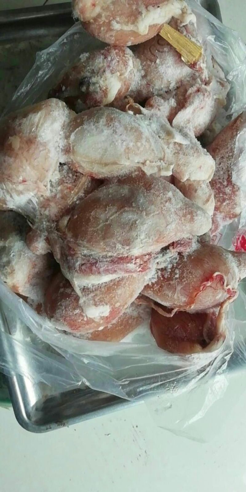 鲜冻羊蛋有货
