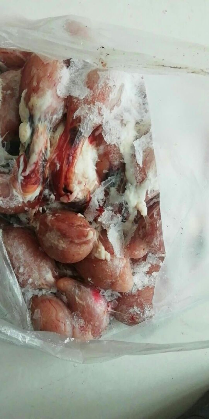 鲜冻羊蛋有货