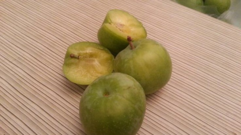 青翠李子，陕西青翠李子价格，青翠李子产地批发价格