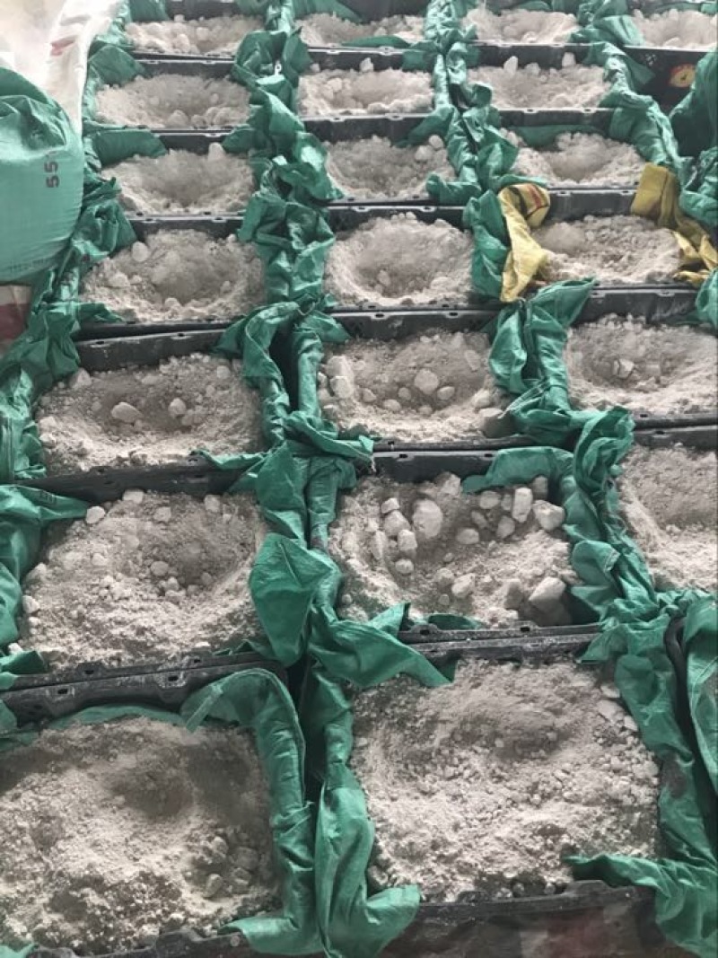 红薯淀粉散装