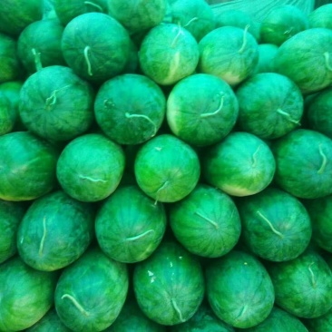 龙卷风西瓜大量上市