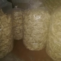 竹荪