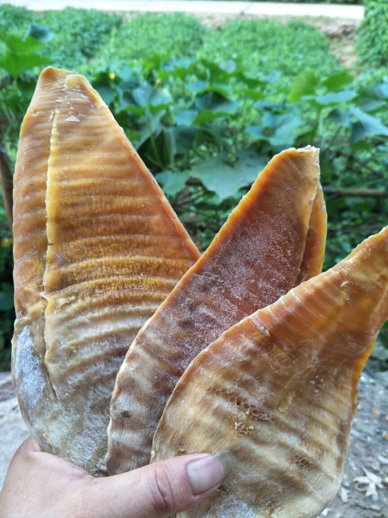 水煮笋干，基地直供，零添加