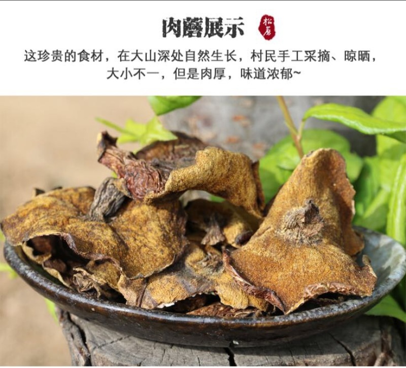 松蘑二级