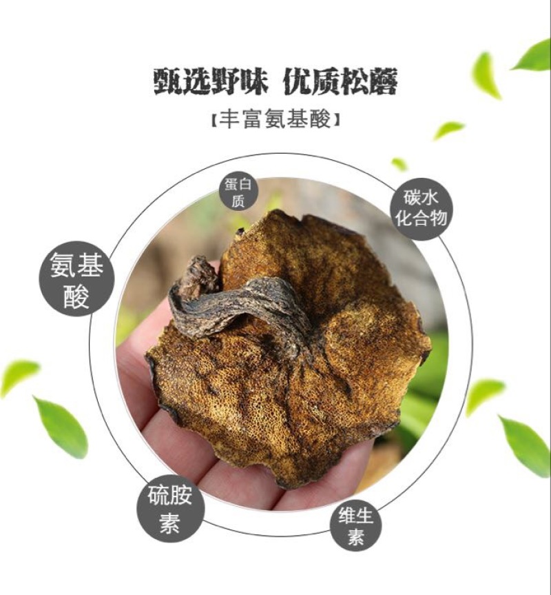 松蘑二级