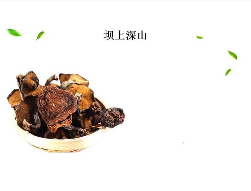松蘑一级