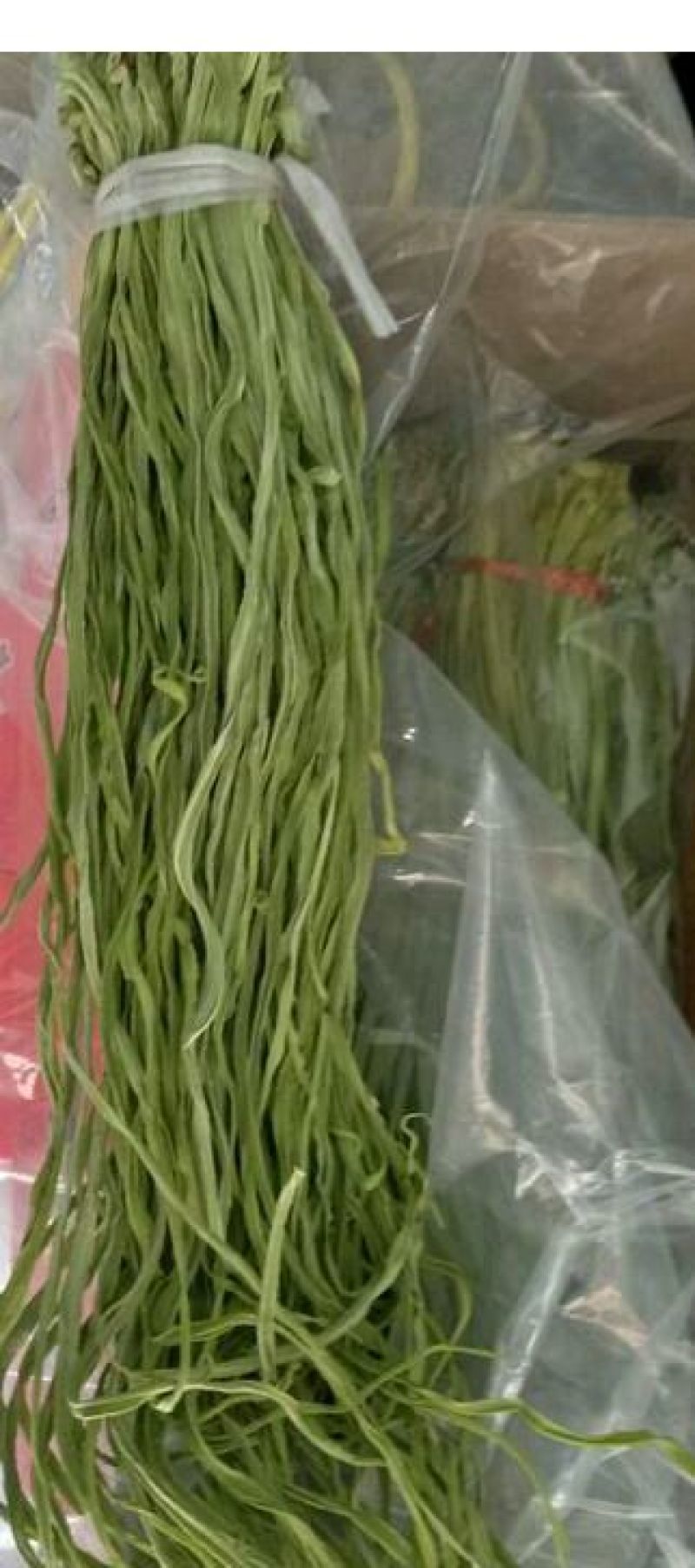 黄花菜，贡菜地里种的农产品。有需要的老板