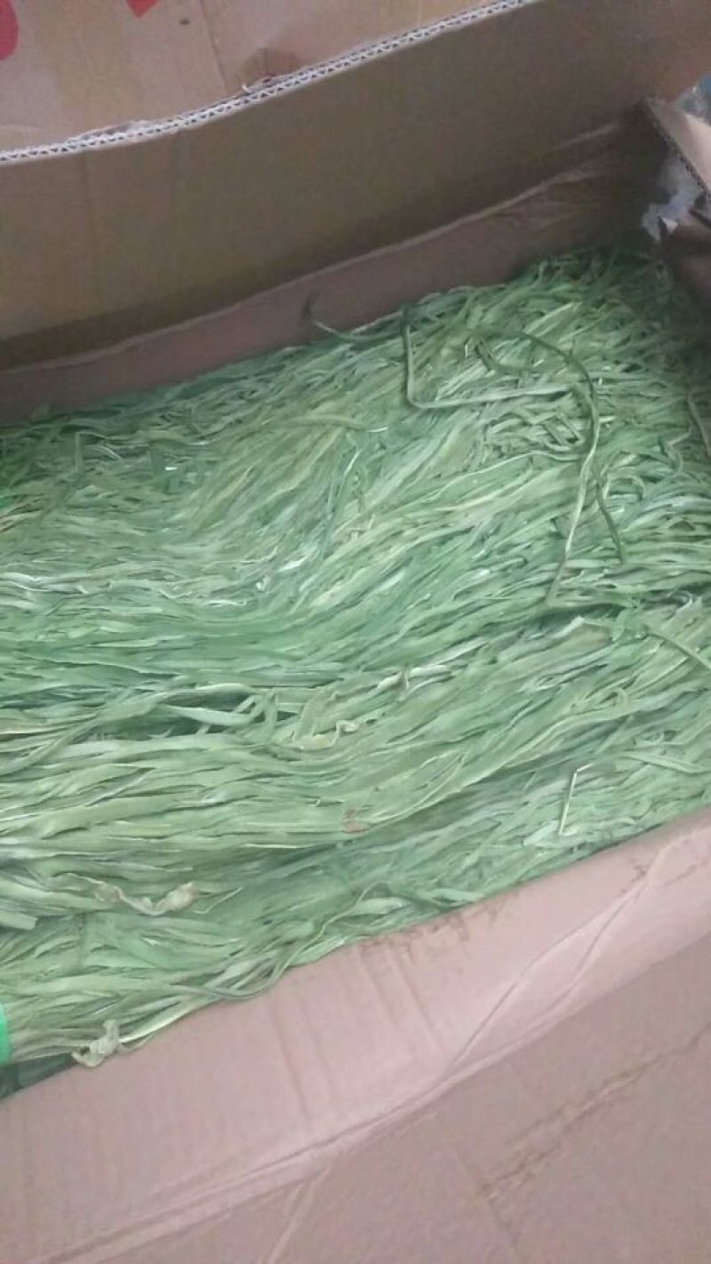 黄花菜，贡菜地里种的农产品。有需要的老板