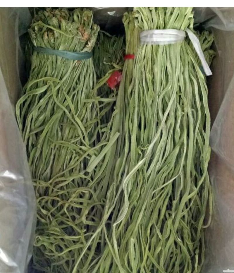 黄花菜，贡菜地里种的农产品。有需要的老板
