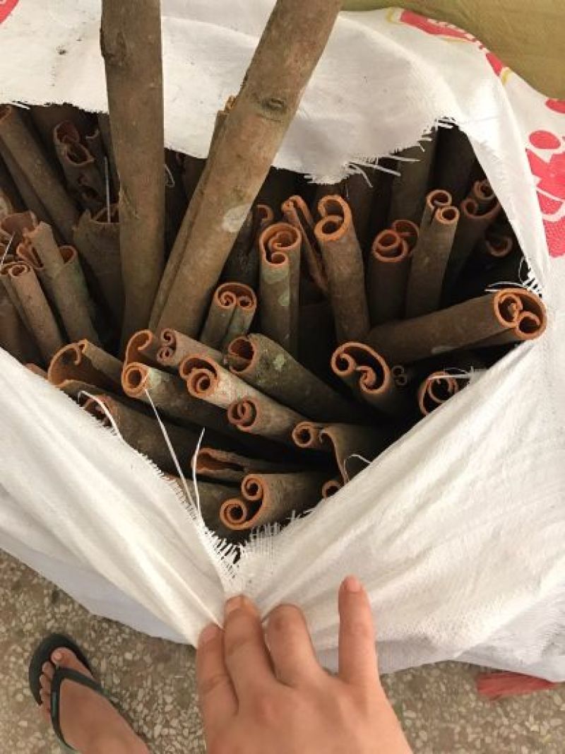 肉桂(统筒干货)80斤一件定装