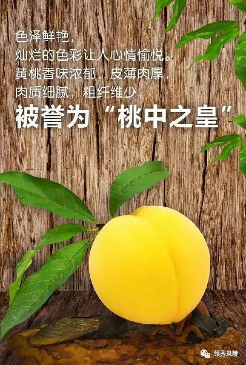 炎陵黄桃，