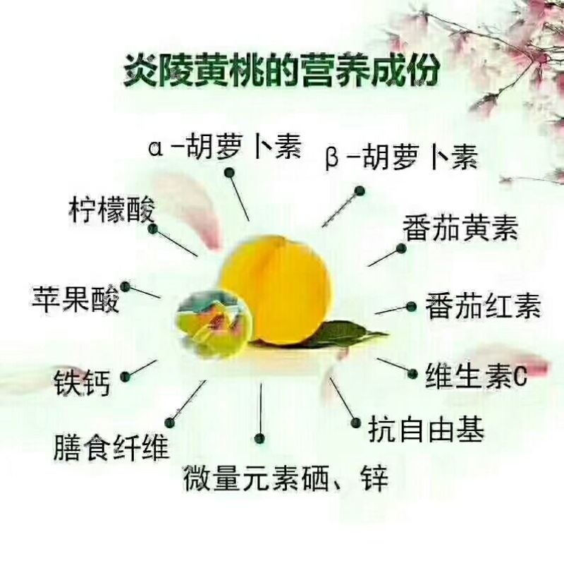 炎陵黄桃，