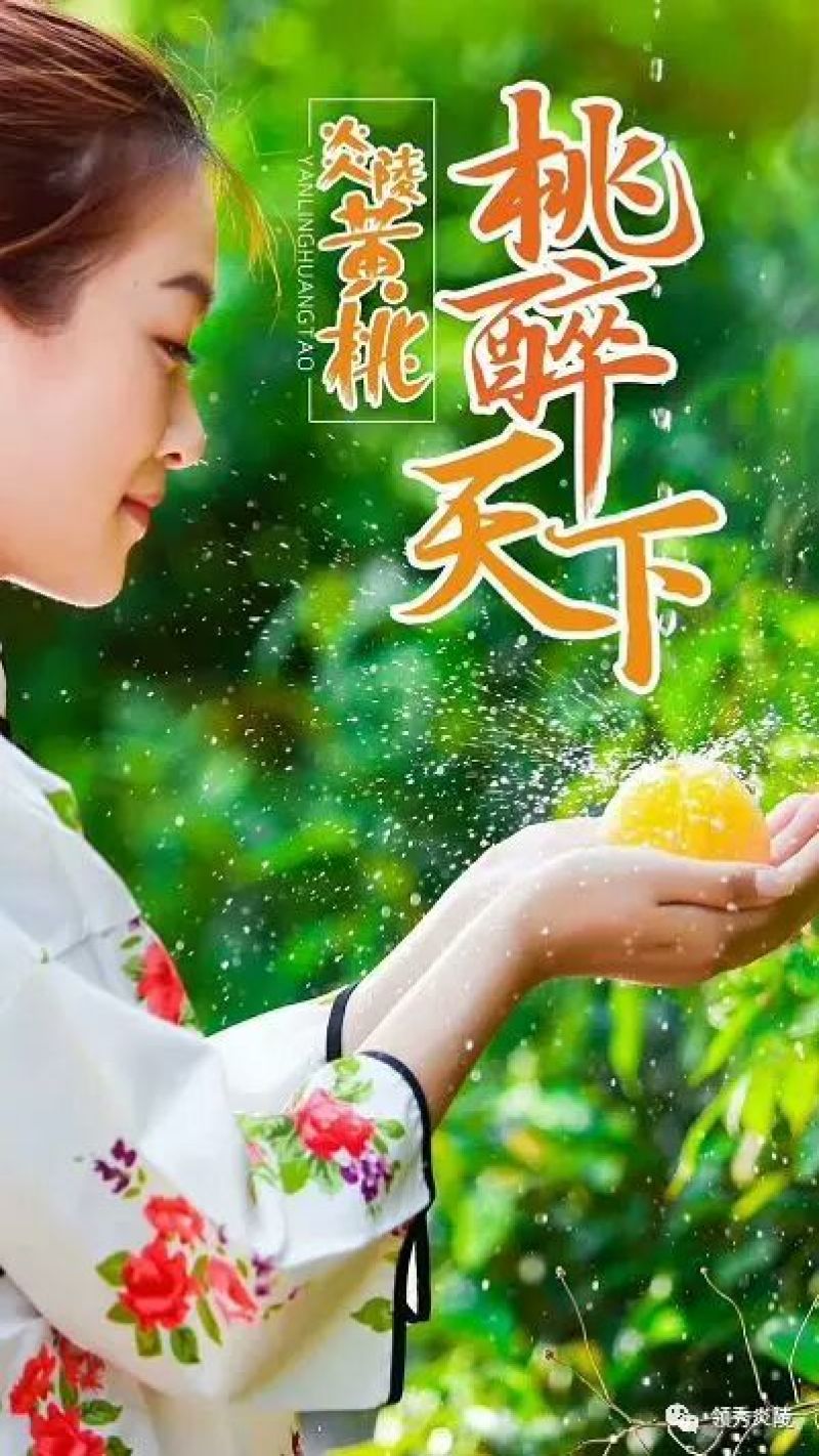 炎陵黄桃，